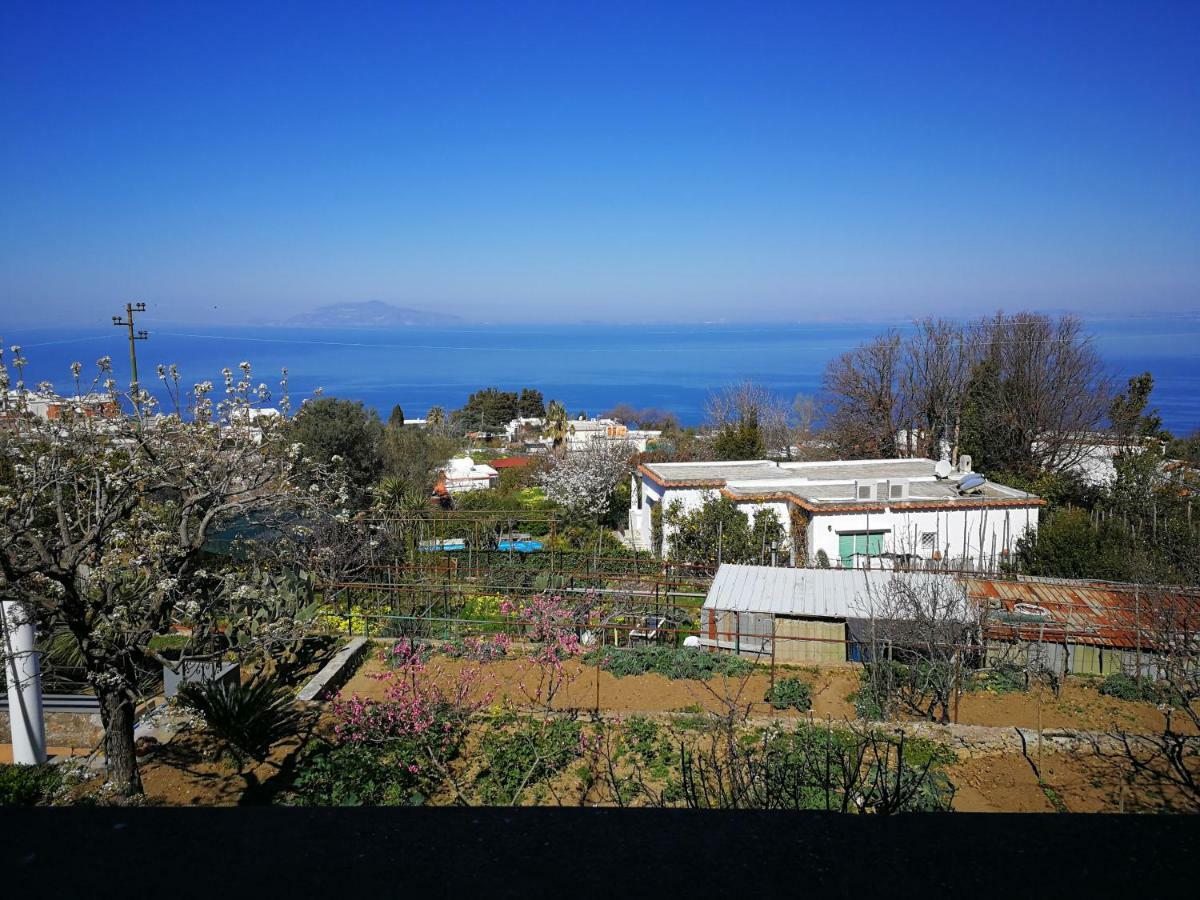 Maryhome Anacapri  Exterior foto